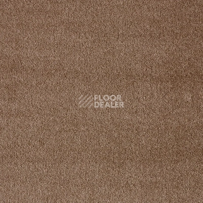 Ковролин AW Seduction 46 фото 1 | FLOORDEALER